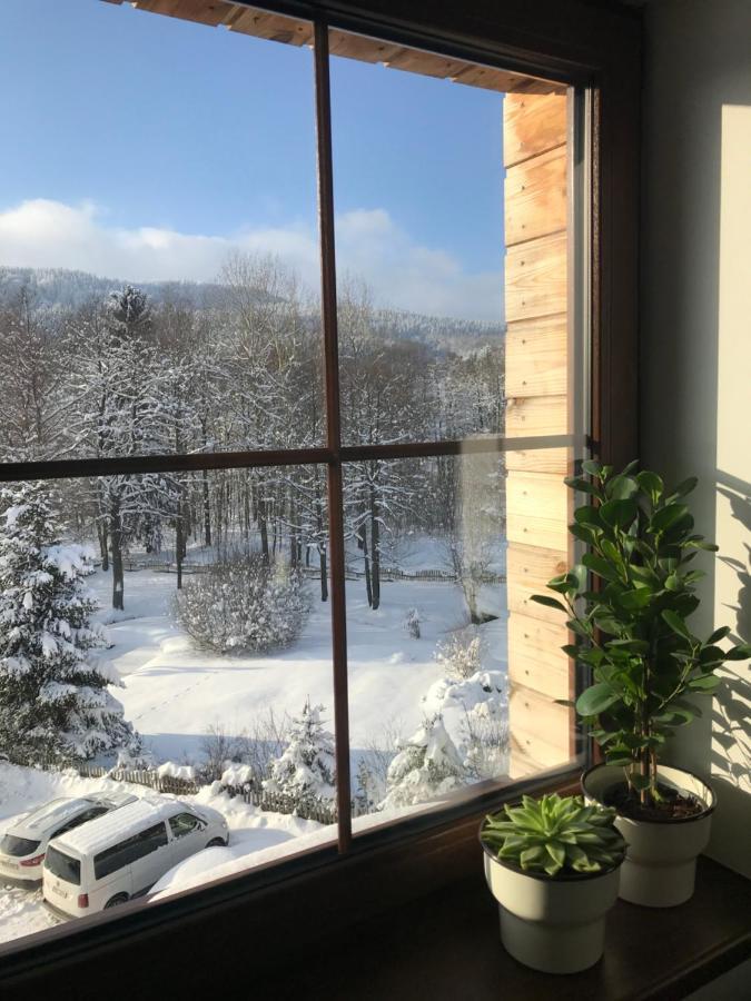 Ubytovani U Potoka Destne v Orlickych horach Buitenkant foto
