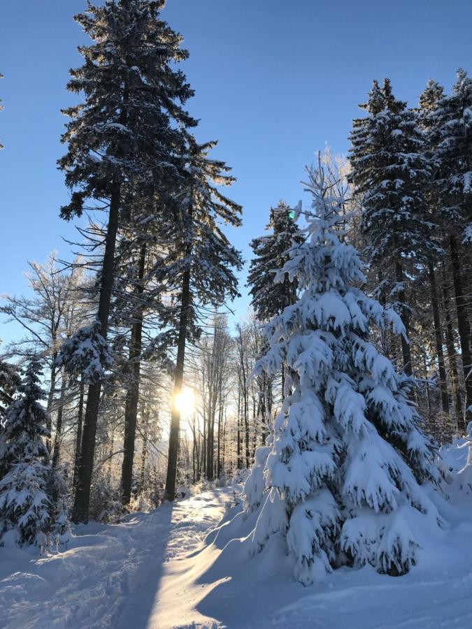 Ubytovani U Potoka Destne v Orlickych horach Buitenkant foto