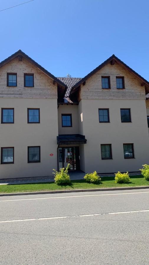 Ubytovani U Potoka Destne v Orlickych horach Buitenkant foto